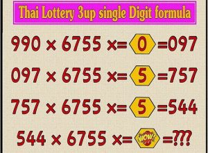 Thai Lottery Vip Tips Single Open Win Formula